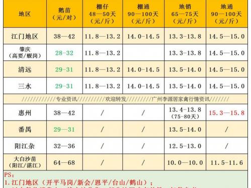 狮头鹅鹅苗多少钱（广东鹅价降价06月10日）
