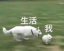 盆腔修复多少钱一次（尿失禁）