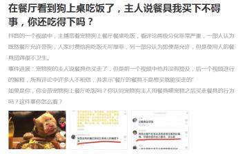 白熊狗多少钱一只（狗主人）