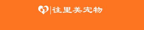 玳瑁猫多少钱（三十万只猫中才有可能出现一只三色公猫）