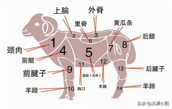 羊骨头多少钱一斤（羊身上最）