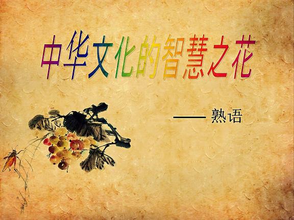 金玉335多少钱一袋（中华文化的智慧之花）