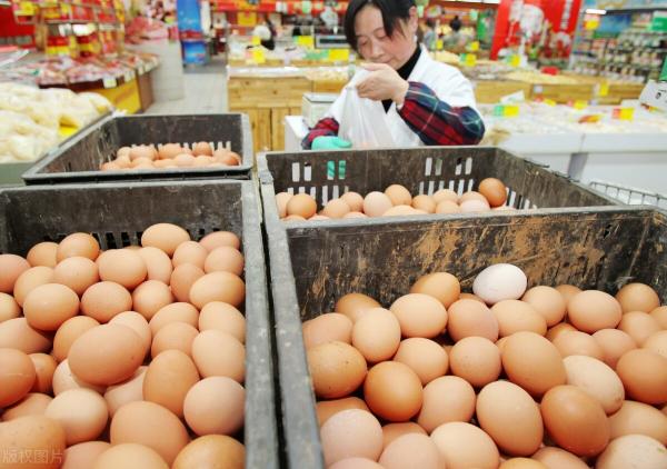 2017鮰鱼多少钱一斤（蛋价再破5元）
