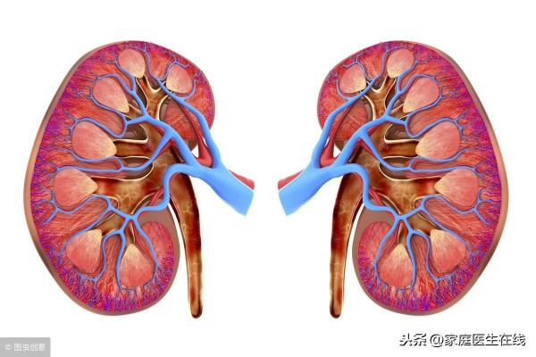 检查肾功能多少钱（身体发出4个）