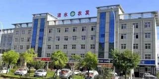 枣核桃多少钱（初祖农耕丨红枣配核桃）