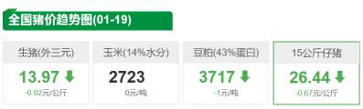 小豬多少錢一斤（1月19日仔豬價格）