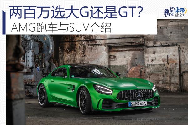 奔驰绿色猛兽多少钱（两百万选大G还是GT）