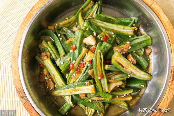 冰菜多少钱一斤在上海（2019年农村种植什么最赚钱）