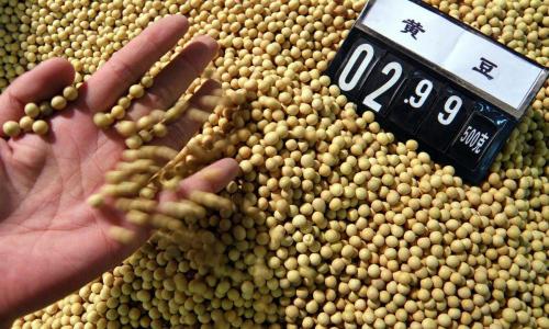豆油多少钱一斤（2021年8月大豆多少钱一斤）