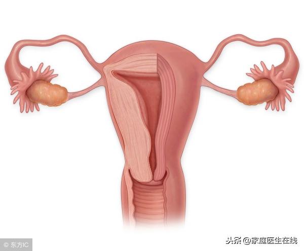 上環大概需要多少錢(女性使用節育環)