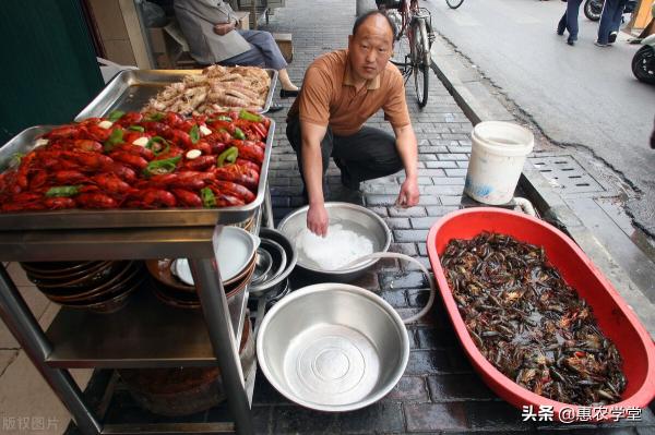 10斤的龙虾多少钱（现在小龙虾多少钱一斤）
