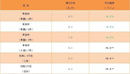 草鱼现在多少钱一斤（同样是草鱼）