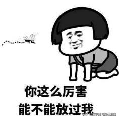 vape驱蚊器多少钱（日本销量第一的驱蚊神器究竟好还是不好）