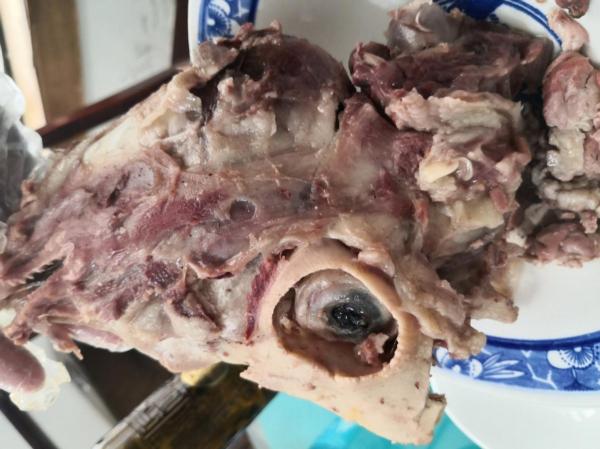羊骨头多少钱一斤（萧县孝顺大哥卖羊头）