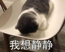 隔音装修多少钱一平方（装修干货）