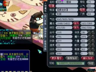 最貴的舍利子要多少錢(qián)（夢(mèng)幻西游）