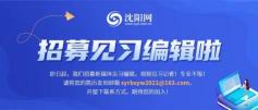 沈阳车票多少钱（最新消息）