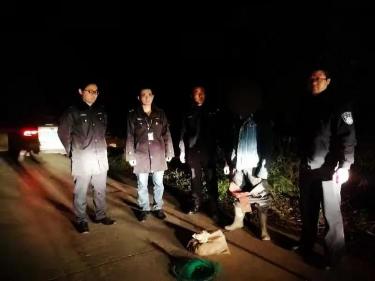 赖蛤蟆多少钱一斤（四川一男子捕捉38只癞蛤蟆被抓）
