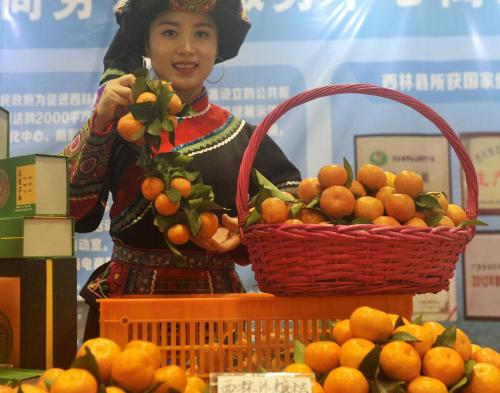 桔子多少钱一斤（目前砂糖橘多少钱一斤）