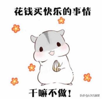 b365多少钱一盒（女王价到）