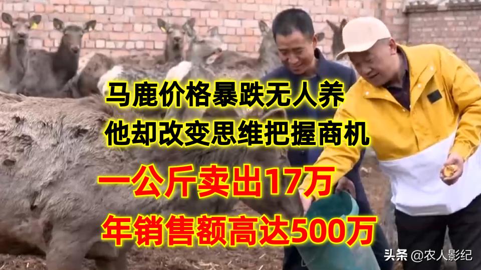 鹿茸一斤多少钱（农村大叔逆向思维）