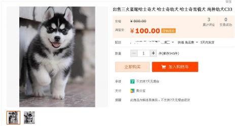 哈士奇毛絨玩具多少錢(網購哈士奇)