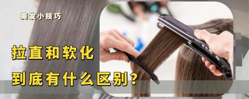 直发板多少钱（头发）