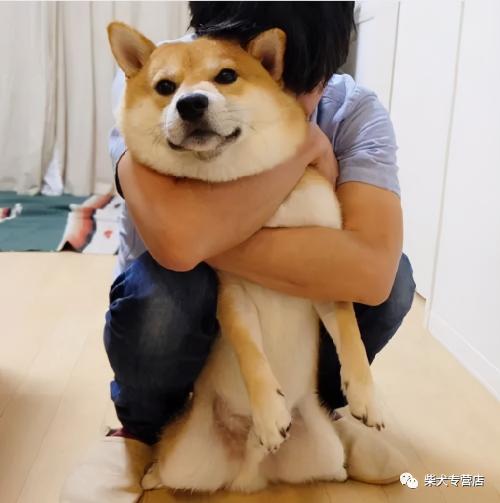 月入一狗是多少錢（在一二線城市）