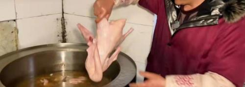 烧鹅多少钱一斤（安徽滁州夫妻卖钟爱盐水鹅）