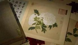 牡丹香烟多少钱一包（一朵牡丹价值超过100万）