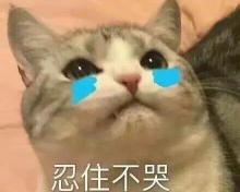 结合雌激素乳膏多少钱（女人小便时）