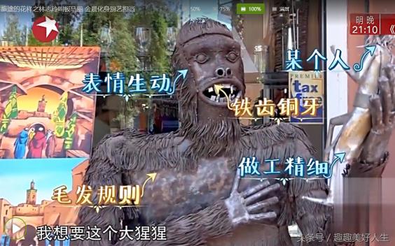 沈腾买的石头多少钱（沈腾在摩洛哥千辛万苦买了只大猩猩）