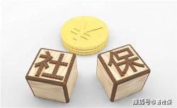 沈阳自己交保险多少钱（沈阳2022年最新社保缴费标准）