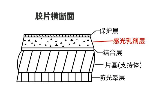 洗胶卷照片多少钱一张（一看就懂）