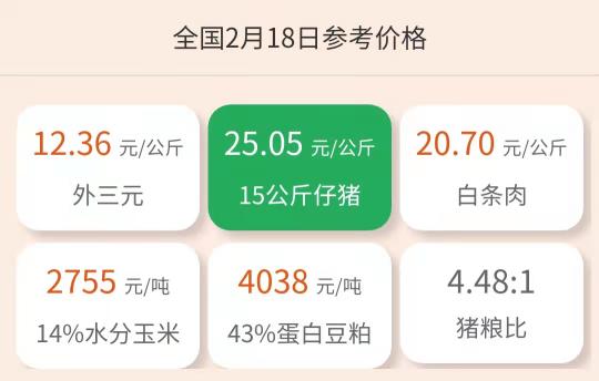 小猪多少钱一斤（2月18日仔猪价格）