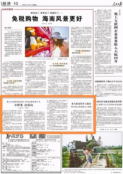司杜芬多少錢那里有（深山小野果）