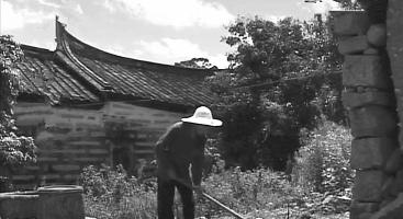 青铜多少钱一斤（战国）