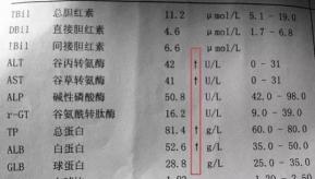 血清蛋白多少钱一支（肝功中白蛋白）