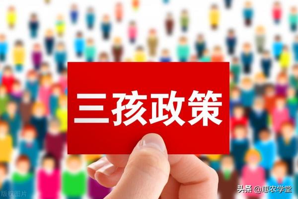 新政策三胎罚多少钱（2021年生三胎奖励多少钱）
