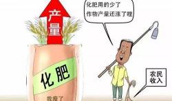硅肥多少钱一吨（肥料基础知识大全）