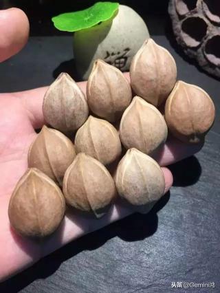 1.8橄榄核正圆多少钱（一串橄榄核正圆）