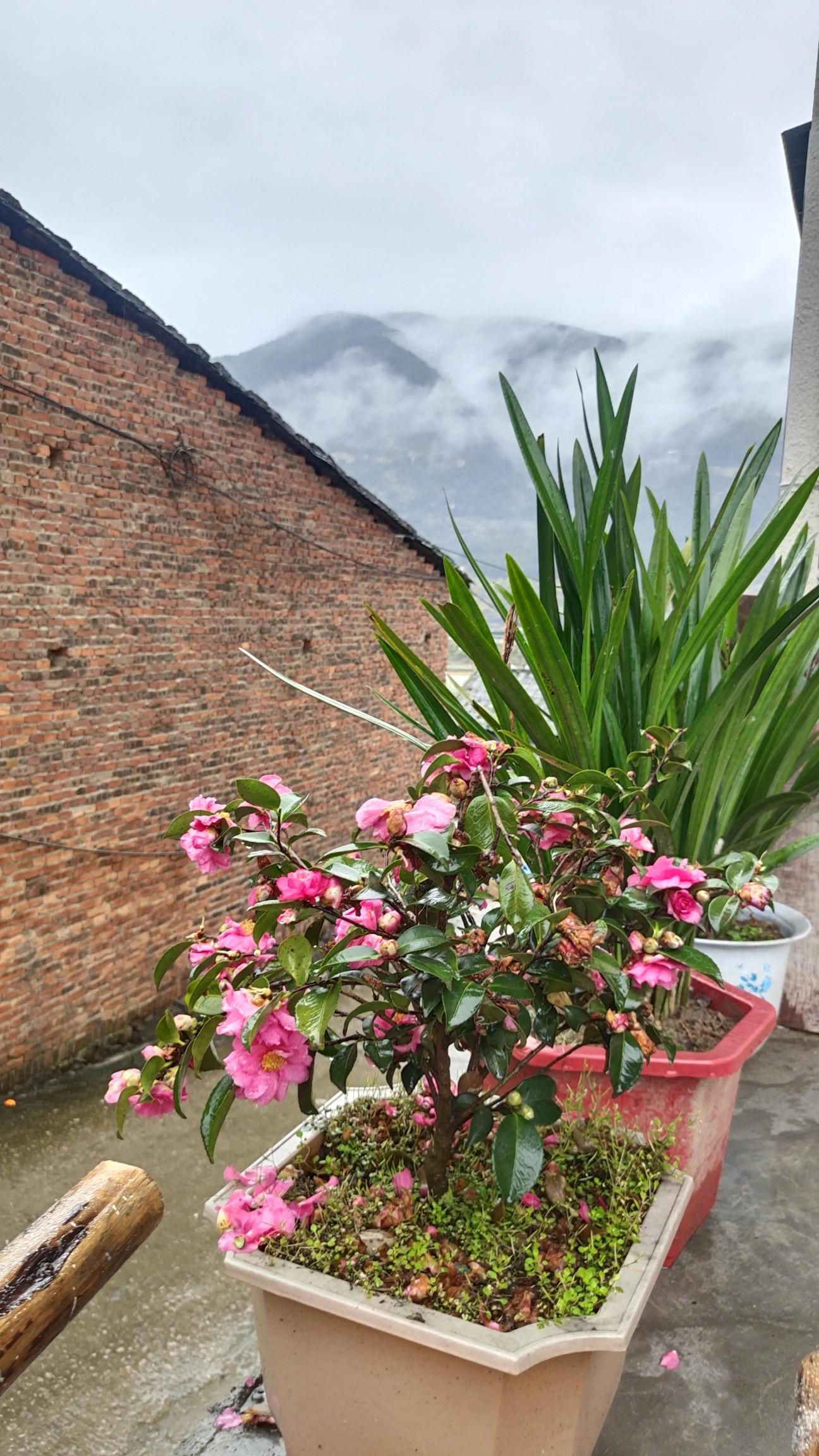 yy豪华游轮多少钱一个（四十不惑）