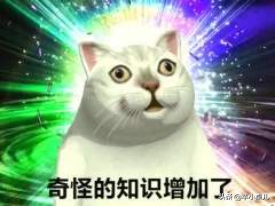 安幕希12瓶多少钱一箱(双12没什么可买的)
