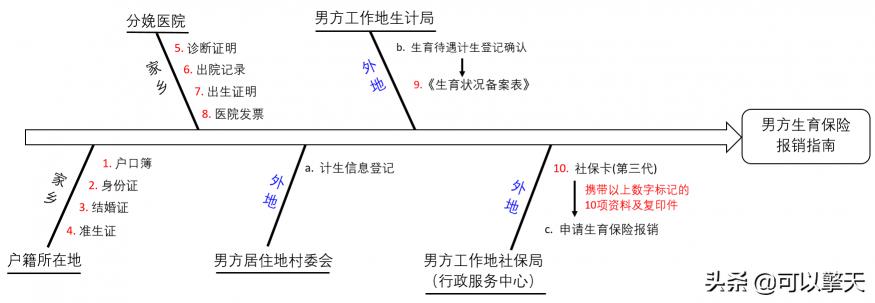 男生育保险能报多少钱（男方生育保险报销指南）