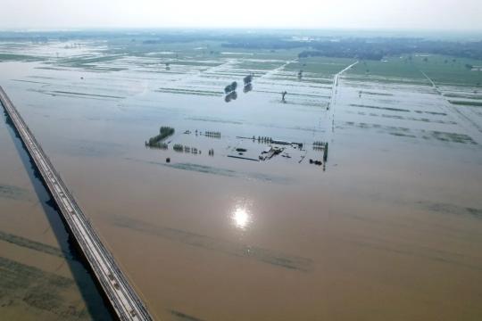 长虹电视rid850多少钱（河南秋粮预计受损200万吨）