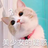 母猫绝育一般多少钱（养）