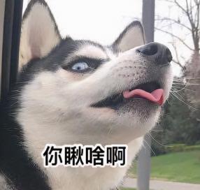 巨贵美容一次要多少钱（买狗一时爽）