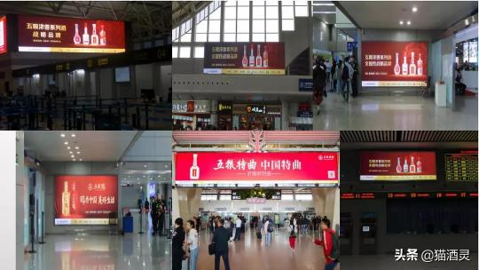 五粮春广告花了多少钱（斥资逾2亿元）