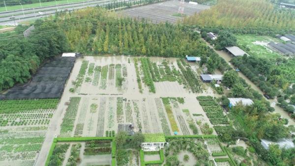 办一场花园婚礼多少钱（12年搬家13次）