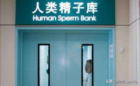精子质量检测多少钱啊（一次最多5000元）